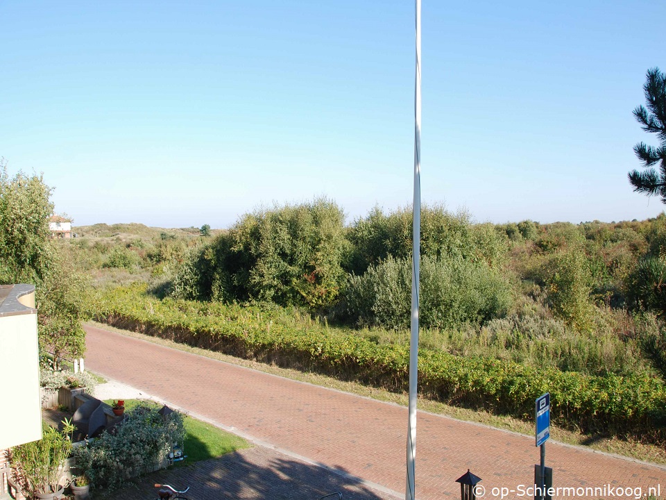 Den (4) in Boszicht Den (4) in Boszicht